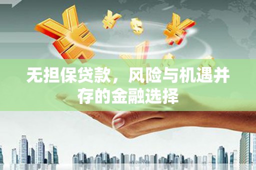 泸州无担保贷款，风险与机遇并存的金融选择