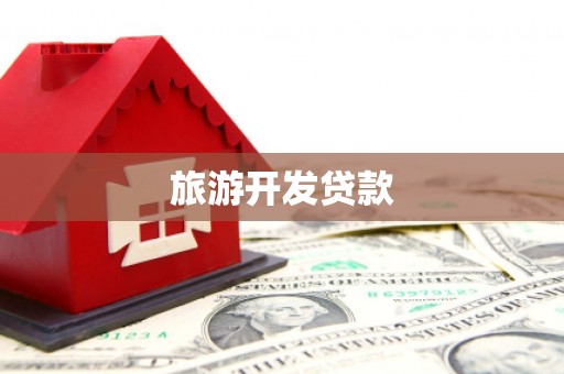 民丰旅游开发贷款
