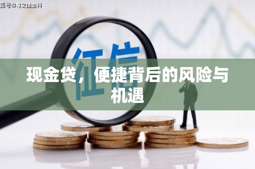 且末现金贷，便捷背后的风险与机遇