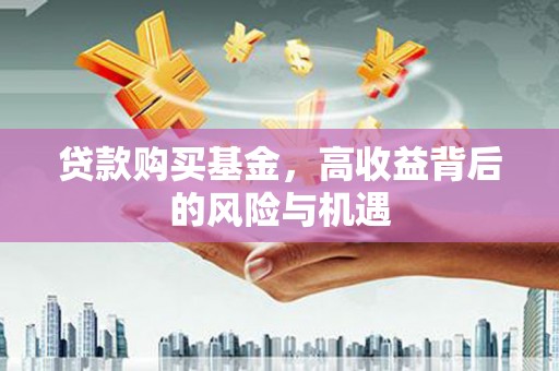 大洼贷款购买基金，高收益背后的风险与机遇