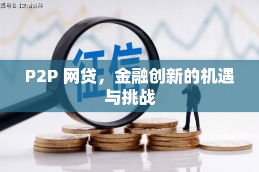 岭东P2P 网贷，金融创新的机遇与挑战