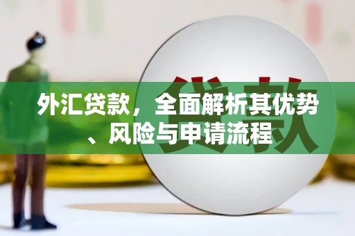 图们外汇贷款，全面解析其优势、风险与申请流程