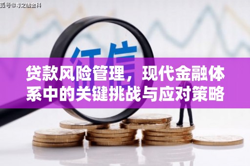 张掖贷款风险管理，现代金融体系中的关键挑战与应对策略