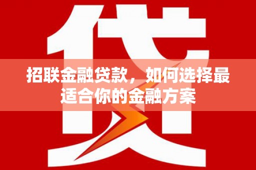 昭苏招联金融贷款，如何选择最适合你的金融方案