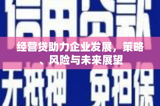 白山经营贷助力企业发展，策略、风险与未来展望