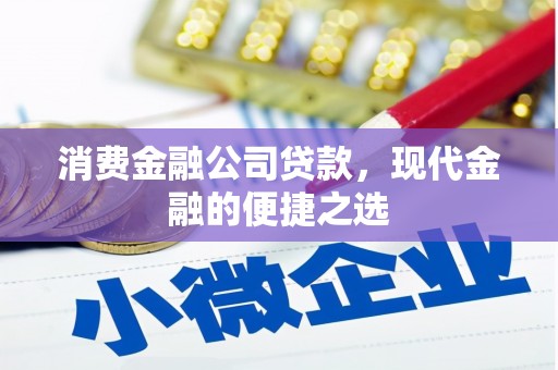 昭苏消费金融公司贷款，现代金融的便捷之选