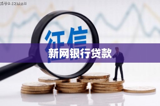 南宫新网银行贷款