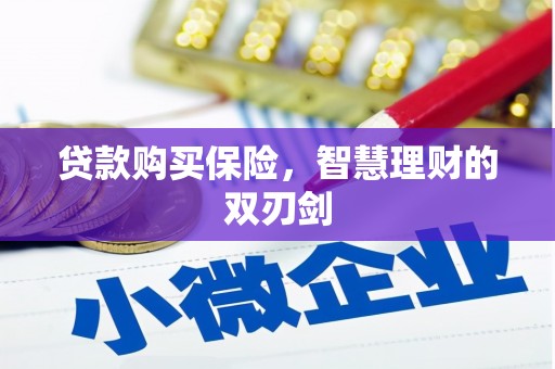 甘谷贷款购买保险，智慧理财的双刃剑