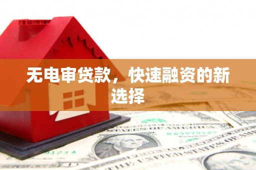 尉犁无电审贷款，快速融资的新选择