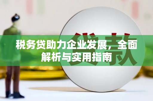 通许税务贷助力企业发展，全面解析与实用指南