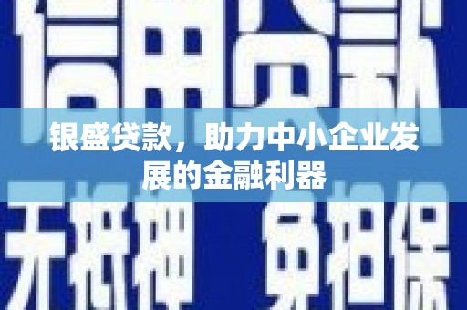 丰城银盛贷款，助力中小企业发展的金融利器