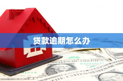 枋寮贷款逾期怎么办