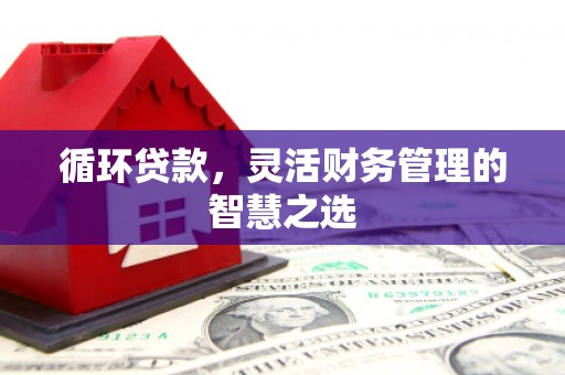 公安循环贷款，灵活财务管理的智慧之选