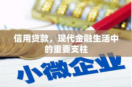 文成信用贷款，现代金融生活中的重要支柱