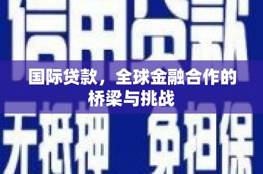 贞丰国际贷款，全球金融合作的桥梁与挑战
