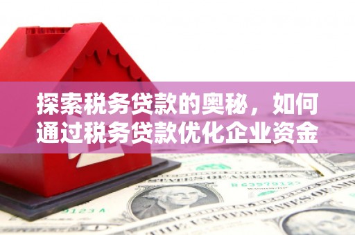 永寿探索税务贷款的奥秘，如何通过税务贷款优化企业资金流