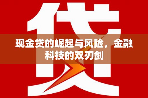 襄阳现金贷的崛起与风险，金融科技的双刃剑