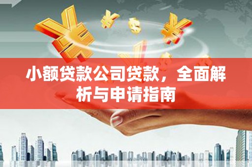 宣汉小额贷款公司贷款，全面解析与申请指南