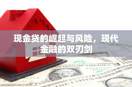 普格现金贷的崛起与风险，现代金融的双刃剑