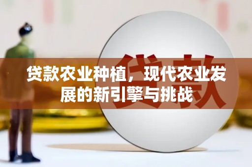 右江贷款农业种植，现代农业发展的新引擎与挑战