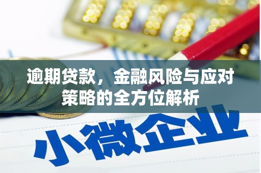 兴安逾期贷款，金融风险与应对策略的全方位解析