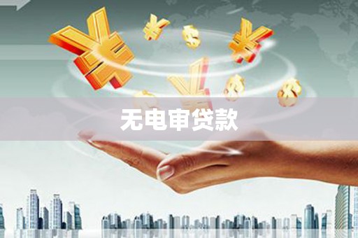 那曲无电审贷款
