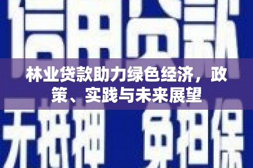 上林林业贷款助力绿色经济，政策、实践与未来展望