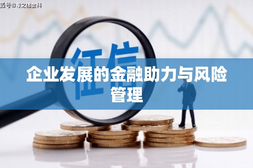 儋州企业发展的金融助力与风险管理
