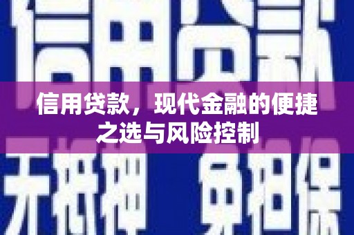 沙依巴克信用贷款，现代金融的便捷之选与风险控制