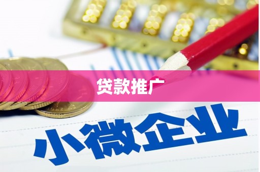 项城贷款推广
