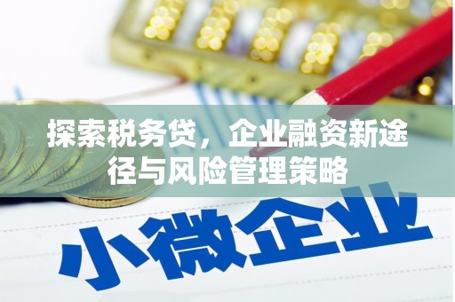 巨野探索税务贷，企业融资新途径与风险管理策略