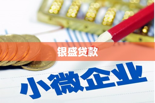三台银盛贷款