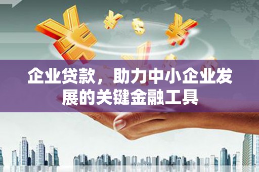 大观企业贷款，助力中小企业发展的关键金融工具