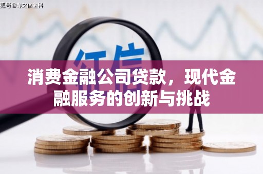 灵武消费金融公司贷款，现代金融服务的创新与挑战