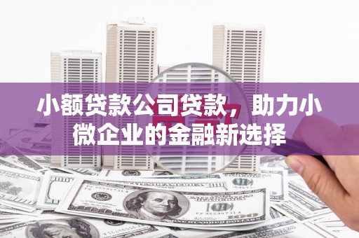 杜集小额贷款公司贷款，助力小微企业的金融新选择