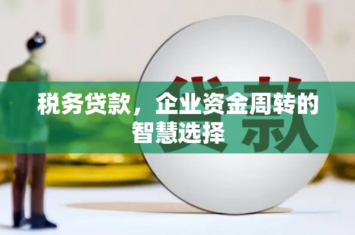 三芝税务贷款，企业资金周转的智慧选择