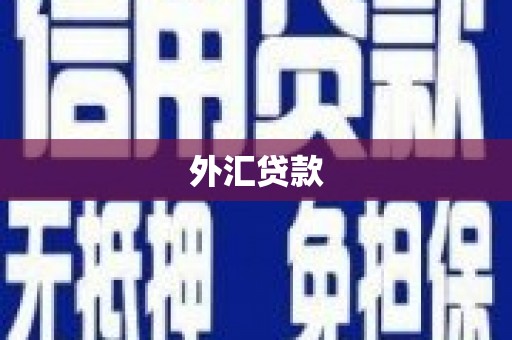 得荣外汇贷款
