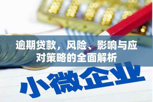 梧州逾期贷款，风险、影响与应对策略的全面解析