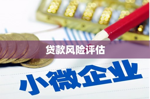 高碑店贷款风险评估