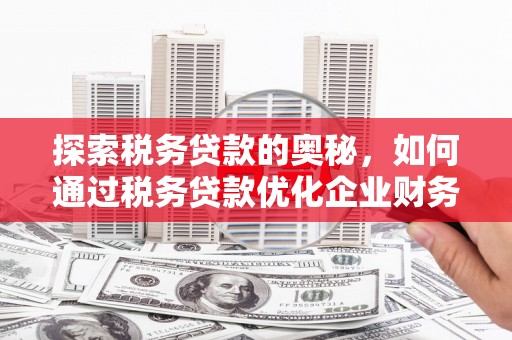 磴口探索税务贷款的奥秘，如何通过税务贷款优化企业财务