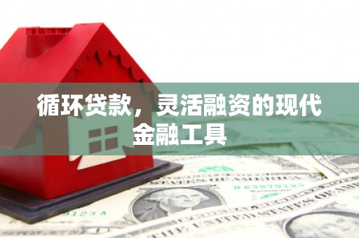 岳塘循环贷款，灵活融资的现代金融工具