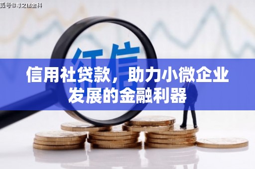 造桥信用社贷款，助力小微企业发展的金融利器