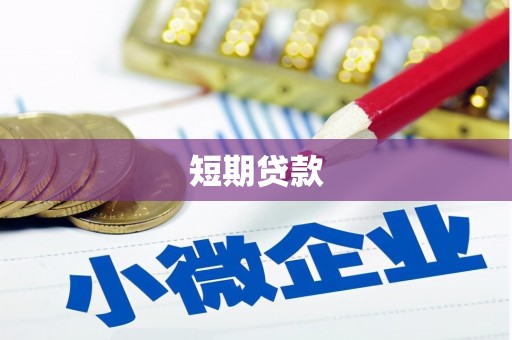玛纳斯短期贷款