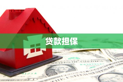 崇安贷款担保
