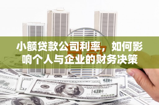 会同小额贷款公司利率，如何影响个人与企业的财务决策
