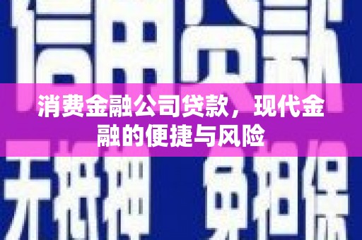 历城消费金融公司贷款，现代金融的便捷与风险