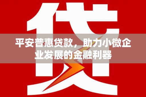 睢宁平安普惠贷款，助力小微企业发展的金融利器