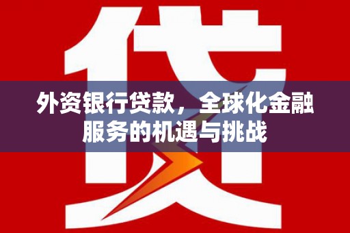河池外资银行贷款，全球化金融服务的机遇与挑战