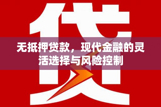 大邑无抵押贷款，现代金融的灵活选择与风险控制
