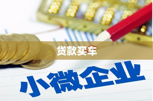 白碱滩贷款买车